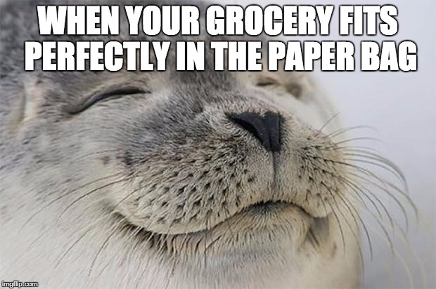 Satisfied Seal Meme | WHEN YOUR GROCERY FITS PERFECTLY IN THE PAPER BAG | image tagged in memes,satisfied seal,AdviceAnimals | made w/ Imgflip meme maker