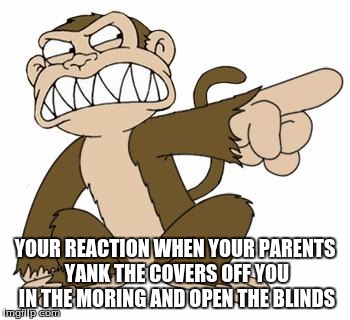 Angry Monkey Family Guy | YOUR REACTION WHEN YOUR PARENTS YANK THE COVERS OFF YOU IN THE MORING AND OPEN THE BLINDS | image tagged in angry monkey family guy | made w/ Imgflip meme maker