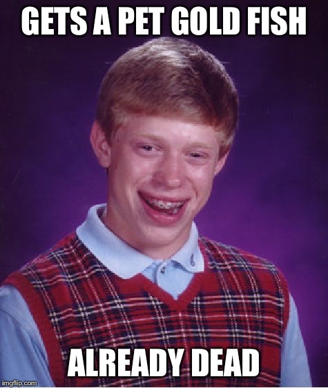 Bad Luck Brian Meme | GETS A PET GOLD FISH ALREADY DEAD | image tagged in memes,bad luck brian,gold fish | made w/ Imgflip meme maker
