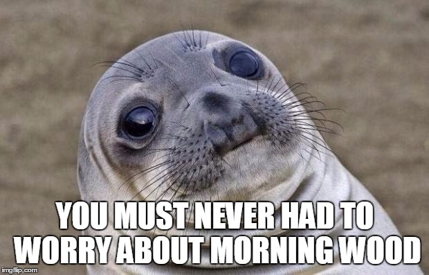 Awkward Moment Sealion Meme | YOU MUST NEVER HAD TO WORRY ABOUT MORNING WOOD | image tagged in memes,awkward moment sealion | made w/ Imgflip meme maker