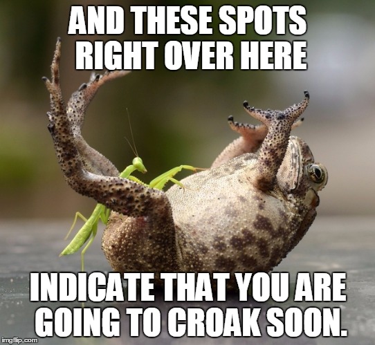 The fortune telling praying mantis | AND THESE SPOTS RIGHT OVER HERE INDICATE THAT YOU ARE GOING TO CROAK SOON. | image tagged in praying mantis technique | made w/ Imgflip meme maker