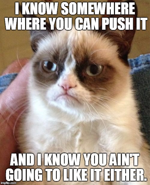 Grumpy Cat Meme | I KNOW SOMEWHERE WHERE YOU CAN PUSH IT AND I KNOW YOU AIN'T GOING TO LIKE IT EITHER. | image tagged in memes,grumpy cat | made w/ Imgflip meme maker