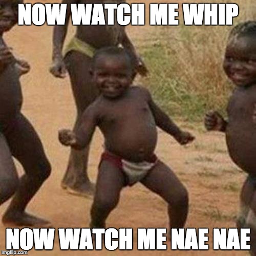 Third World Success Kid | NOW WATCH ME WHIP NOW WATCH ME NAE NAE | image tagged in memes,third world success kid | made w/ Imgflip meme maker