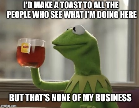 Kermit DiCaprio Cheers | I'D MAKE A TOAST TO ALL THE PEOPLE WHO SEE WHAT I'M DOING HERE BUT THAT'S NONE OF MY BUSINESS | image tagged in kermit dicaprio cheers | made w/ Imgflip meme maker