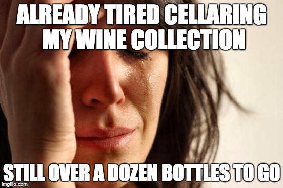 First World Problems Meme | ALREADY TIRED CELLARING MY WINE COLLECTION STILL OVER A DOZEN BOTTLES TO GO | image tagged in memes,first world problems,AdviceAnimals | made w/ Imgflip meme maker
