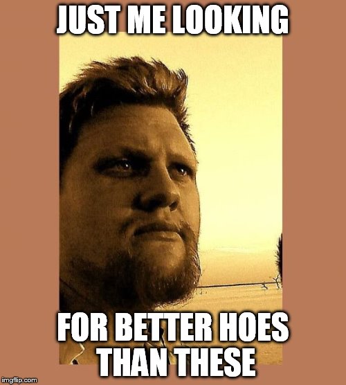 just me looking | JUST ME LOOKING FOR BETTER HOES THAN THESE | image tagged in majestic gaze,just me looking,better hoes than these,funny | made w/ Imgflip meme maker