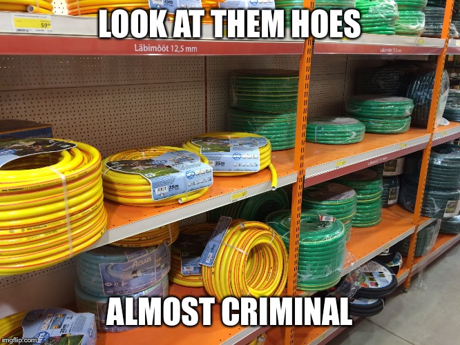 LOOK AT THEM HOES ALMOST CRIMINAL | image tagged in so many | made w/ Imgflip meme maker