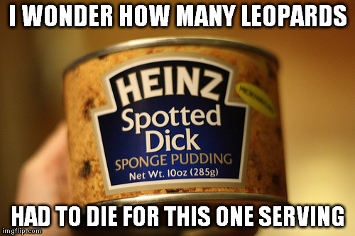 I WONDER HOW MANY LEOPARDS HAD TO DIE FOR THIS ONE SERVING | image tagged in spot | made w/ Imgflip meme maker