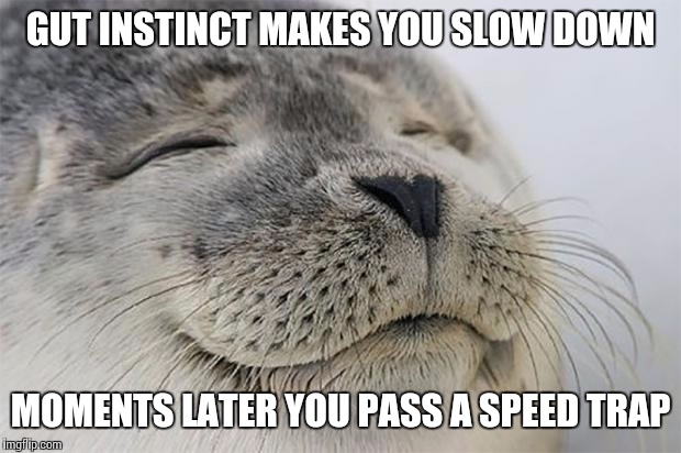 Satisfied Seal Meme | GUT INSTINCT MAKES YOU SLOW DOWN MOMENTS LATER YOU PASS A SPEED TRAP | image tagged in memes,satisfied seal,AdviceAnimals | made w/ Imgflip meme maker