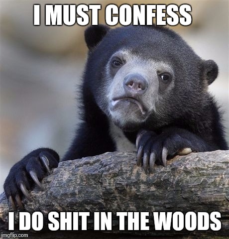 Confession Bear | I MUST CONFESS I DO SHIT IN THE WOODS | image tagged in memes,confession bear | made w/ Imgflip meme maker