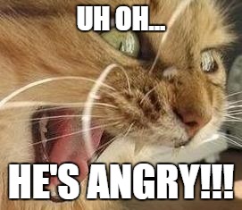 UH OH... HE'S ANGRY!!! | image tagged in angry | made w/ Imgflip meme maker