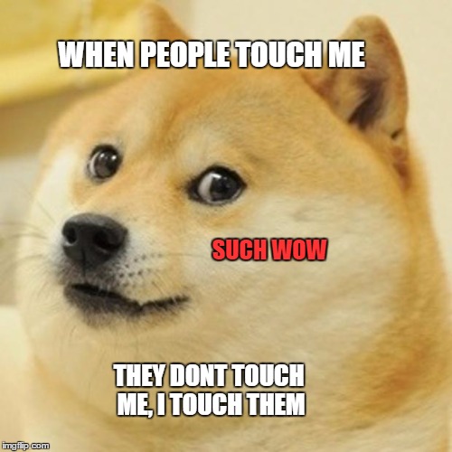Doge and People | WHEN PEOPLE TOUCH ME THEY DONT TOUCH ME, I TOUCH THEM SUCH WOW | image tagged in memes,doge | made w/ Imgflip meme maker