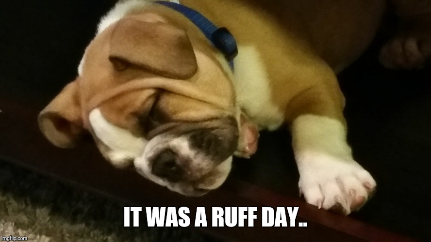 IT WAS A RUFF DAY.. | image tagged in tyson | made w/ Imgflip meme maker