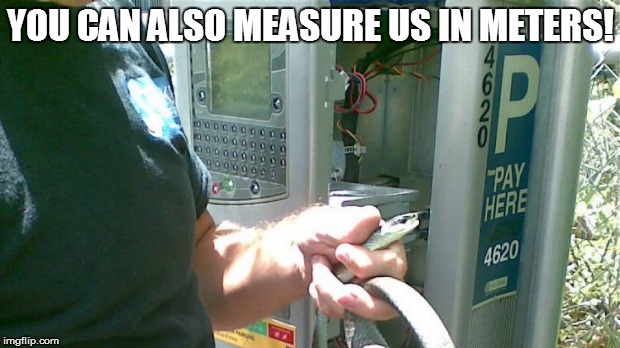 YOU CAN ALSO MEASURE US IN METERS! | made w/ Imgflip meme maker