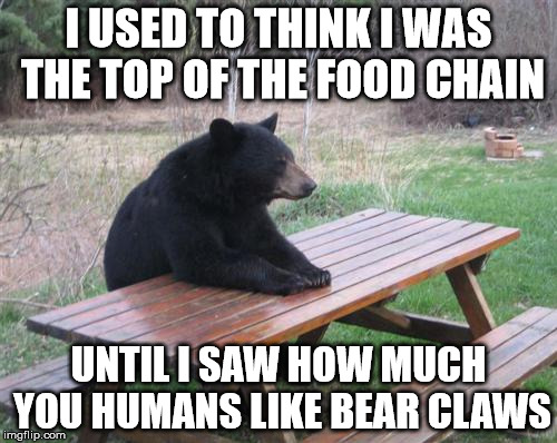 Bad Luck Bear Meme | I USED TO THINK I WAS THE TOP OF THE FOOD CHAIN UNTIL I SAW HOW MUCH YOU HUMANS LIKE BEAR CLAWS | image tagged in memes,bad luck bear | made w/ Imgflip meme maker