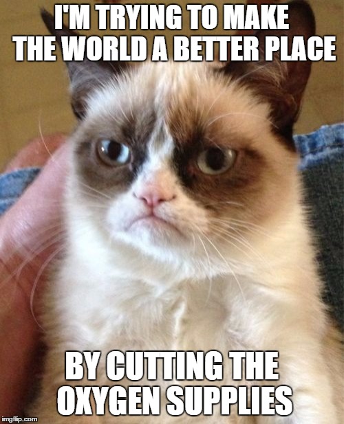 Grumpy Cat Meme | I'M TRYING TO MAKE THE WORLD A BETTER PLACE BY CUTTING THE OXYGEN SUPPLIES | image tagged in memes,grumpy cat | made w/ Imgflip meme maker
