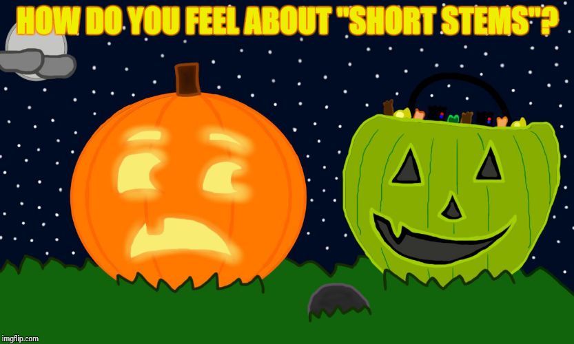 Well...This is awkward. | HOW DO YOU FEEL ABOUT "SHORT STEMS"? | image tagged in pumpkin and not pumpkin | made w/ Imgflip meme maker