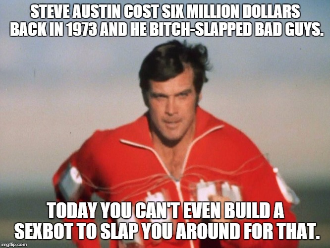 Six Million Dollar Man | STEVE AUSTIN COST SIX MILLION DOLLARS BACK IN 1973 AND HE B**CH-SLAPPED BAD GUYS. TODAY YOU CAN'T EVEN BUILD A SEXBOT TO SLAP YOU AROUND FOR | image tagged in six million dollar man | made w/ Imgflip meme maker