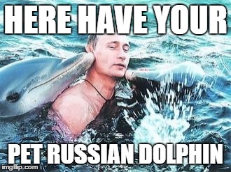Putin Dolphins | HERE HAVE YOUR PET RUSSIAN DOLPHIN | image tagged in putin dolphins | made w/ Imgflip meme maker