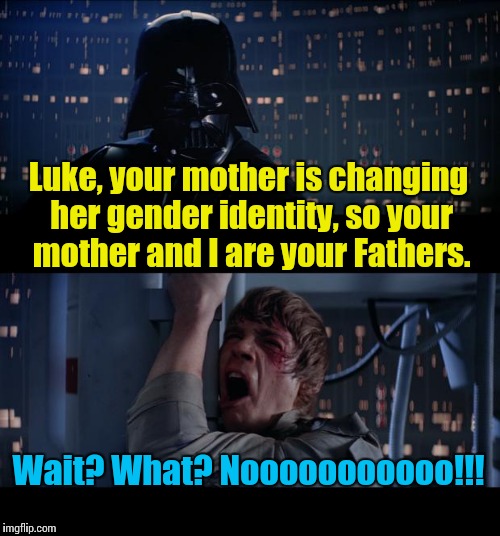 Star Wars No Meme | Luke, your mother is changing her gender identity, so your mother and I are your Fathers. Wait? What? Nooooooooooo!!! | image tagged in memes,star wars no | made w/ Imgflip meme maker