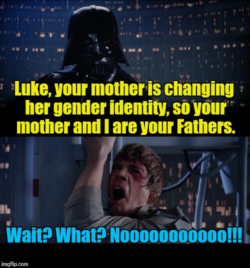 Star Wars No | Luke, your mother is changing her gender identity, so your mother and I are your Fathers. Wait? What? Nooooooooooo!!! | image tagged in memes,star wars no | made w/ Imgflip meme maker