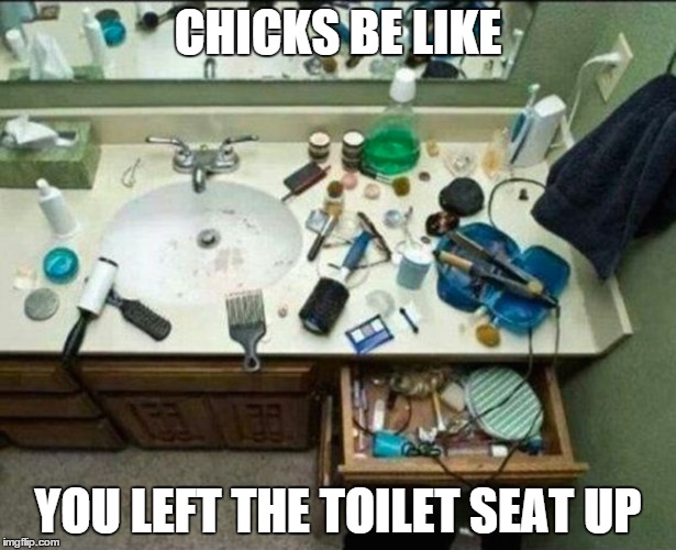 Modern women | CHICKS BE LIKE YOU LEFT THE TOILET SEAT UP | image tagged in memes | made w/ Imgflip meme maker