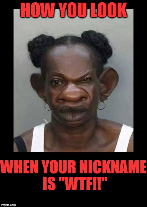 Here comes "WTF!!"...... | HOW YOU LOOK WHEN YOUR NICKNAME IS "WTF!!" | image tagged in funny memes,ugly girl | made w/ Imgflip meme maker