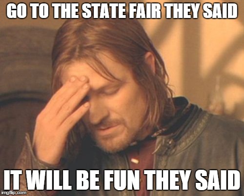 Frustrated Boromir Meme | GO TO THE STATE FAIR THEY SAID IT WILL BE FUN THEY SAID | image tagged in memes,frustrated boromir | made w/ Imgflip meme maker