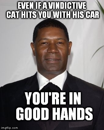 Allstate Ad - that can't be good | EVEN IF A VINDICTIVE CAT HITS YOU WITH HIS CAR YOU'RE IN GOOD HANDS | image tagged in allstate ad - that can't be good | made w/ Imgflip meme maker