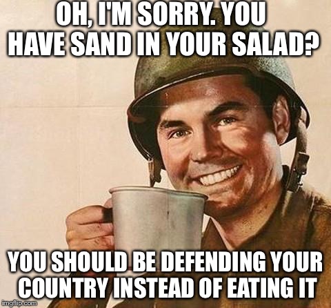 Condescending Army Guy | OH, I'M SORRY. YOU HAVE SAND IN YOUR SALAD? YOU SHOULD BE DEFENDING YOUR COUNTRY INSTEAD OF EATING IT | image tagged in army,condescending | made w/ Imgflip meme maker