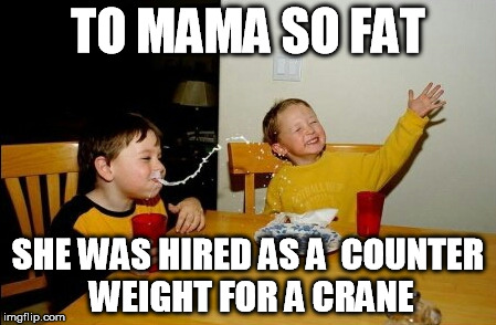 Yo Mamas So Fat | TO MAMA SO FAT SHE WAS HIRED AS A 
COUNTER WEIGHT
FOR A CRANE | image tagged in memes,yo mamas so fat | made w/ Imgflip meme maker