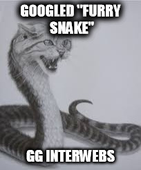 GOOGLED "FURRY SNAKE" GG INTERWEBS | image tagged in furry snake | made w/ Imgflip meme maker