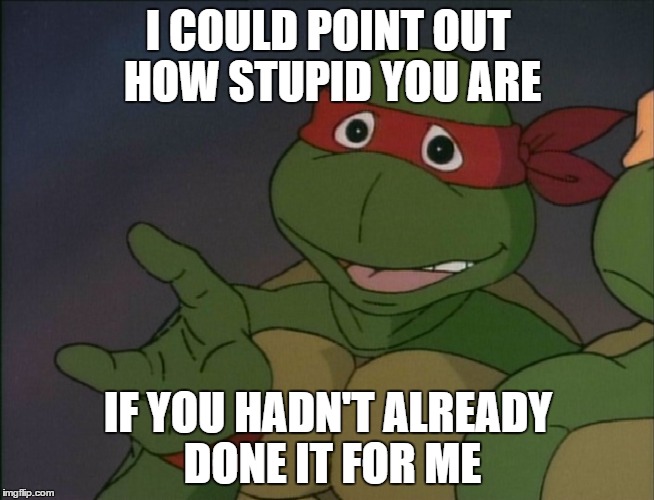 Raphael | I COULD POINT OUT HOW STUPID YOU ARE IF YOU HADN'T ALREADY DONE IT FOR ME | image tagged in tmnt | made w/ Imgflip meme maker