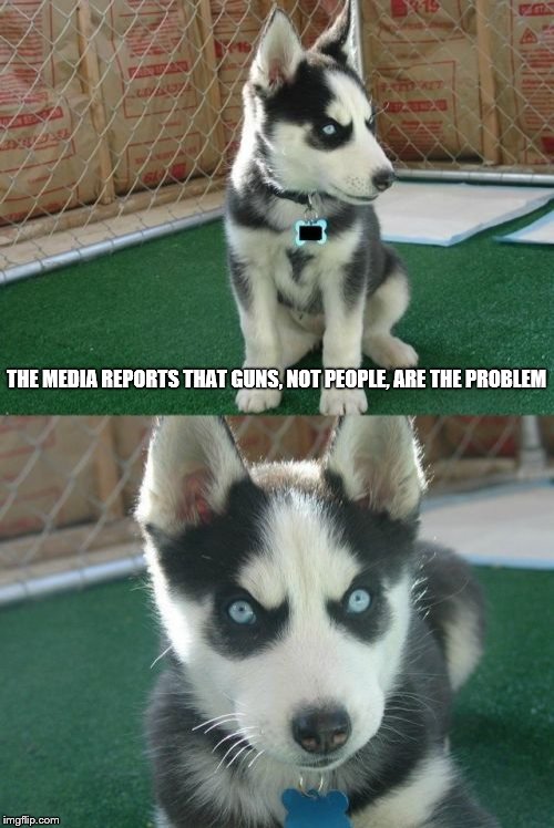 Insanity Puppy Meme | THE MEDIA REPORTS THAT GUNS, NOT PEOPLE, ARE THE PROBLEM | image tagged in memes,insanity puppy | made w/ Imgflip meme maker