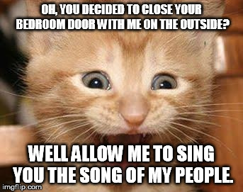 Excited Cat | OH, YOU DECIDED TO CLOSE YOUR BEDROOM DOOR WITH ME ON THE OUTSIDE? WELL ALLOW ME TO SING YOU THE SONG OF MY PEOPLE. | image tagged in memes,excited cat | made w/ Imgflip meme maker
