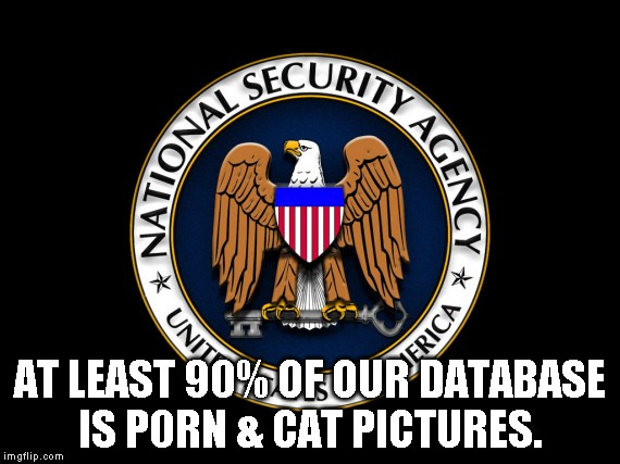 NSA | AT LEAST 90% OF OUR DATABASE IS P0RN & CAT PICTURES. | image tagged in useless,paranoia | made w/ Imgflip meme maker