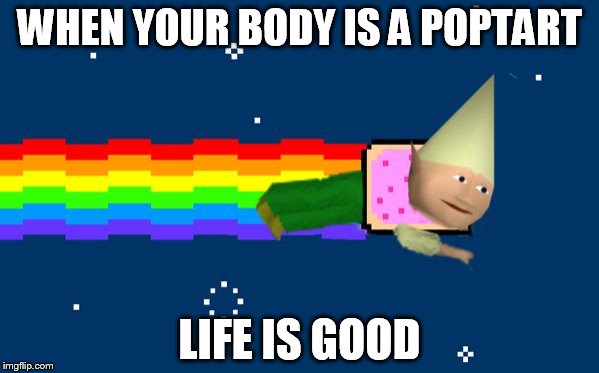 Dank Nyan | WHEN YOUR BODY IS A POPTART LIFE IS GOOD | image tagged in dank nyan,memes,dank meme | made w/ Imgflip meme maker
