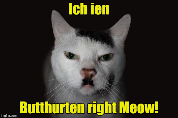 Hitler Cat confesses to "Malicious Downvoting with Intent to Cause Bodily ButtHurt." | Ich ien Butthurten right Meow! | image tagged in hitler cat,hitler,adolf hitler | made w/ Imgflip meme maker