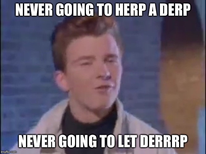 Rick Astley derp | NEVER GOING TO HERP A DERP NEVER GOING TO LET DERRRP | image tagged in rick astley derp | made w/ Imgflip meme maker