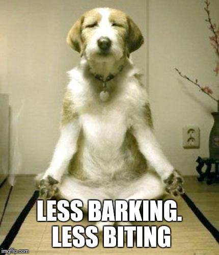 Inner Peace Dog | LESS BARKING. LESS BITING | image tagged in inner peace dog | made w/ Imgflip meme maker