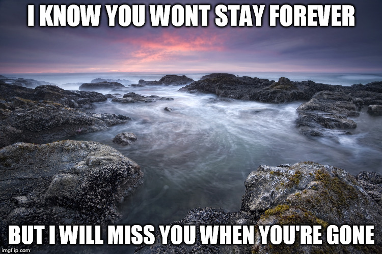 Lonely | I KNOW YOU WONT STAY FOREVER BUT I WILL MISS YOU WHEN YOU'RE GONE | image tagged in depression | made w/ Imgflip meme maker