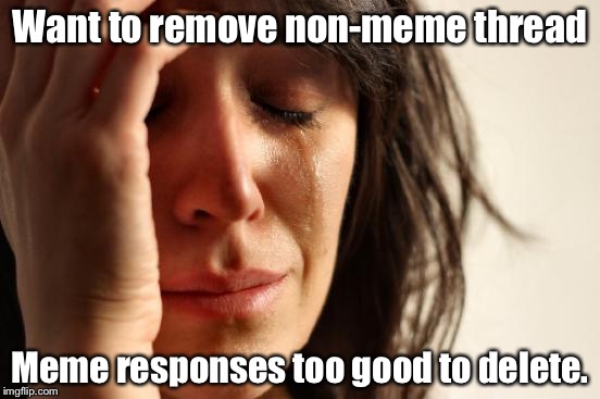 First World Problems | Want to remove non-meme thread Meme responses too good to delete. | image tagged in memes,first world problems | made w/ Imgflip meme maker