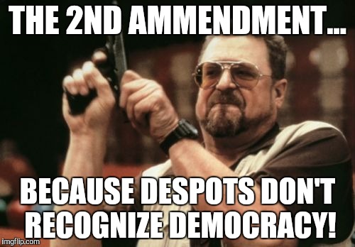 Am I The Only One Around Here | THE 2ND AMMENDMENT... BECAUSE DESPOTS DON'T RECOGNIZE DEMOCRACY! | image tagged in memes,am i the only one around here | made w/ Imgflip meme maker