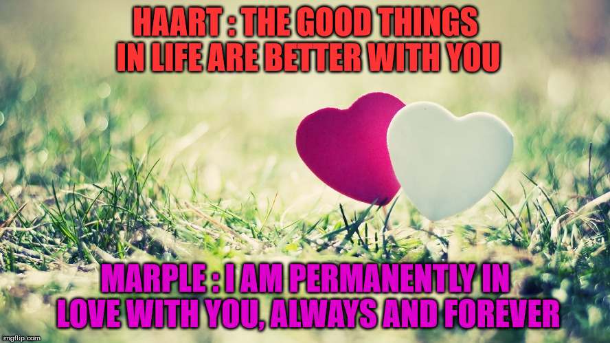 HAART : THE GOOD THINGS IN LIFE ARE BETTER WITH YOU MARPLE : I AM PERMANENTLY IN LOVE WITH YOU, ALWAYS AND FOREVER | made w/ Imgflip meme maker