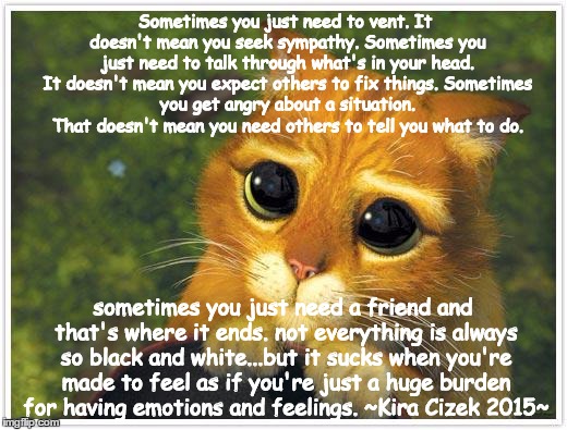 Sometimes... | Sometimes you just need to vent. It doesn't mean you seek sympathy.
Sometimes you just need to talk through what's in your head. It doesn't  | image tagged in memes,shrek cat | made w/ Imgflip meme maker