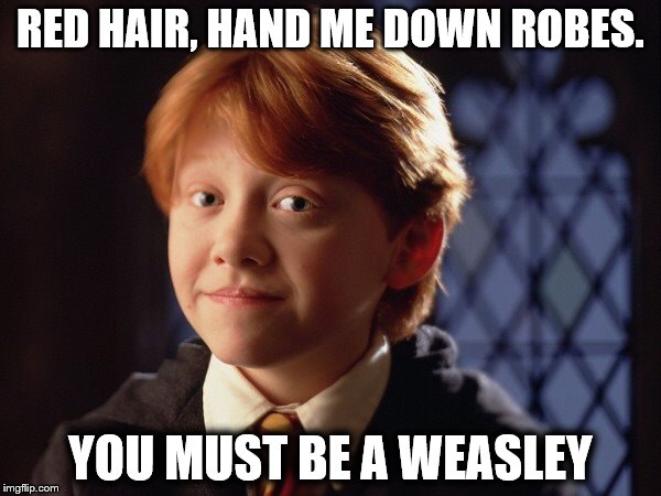 Ron Weasley | RED HAIR, HAND ME DOWN ROBES. YOU MUST BE A WEASLEY | image tagged in ron weasley | made w/ Imgflip meme maker