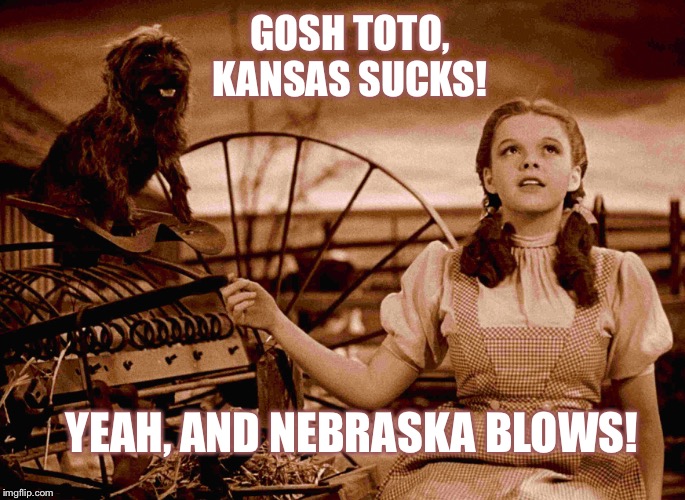 Kansas sucks | GOSH TOTO, KANSAS SUCKS! YEAH, AND NEBRASKA BLOWS! | image tagged in memes,justjeff,wizzard of oz,kansas sucks,dorothy and toto | made w/ Imgflip meme maker