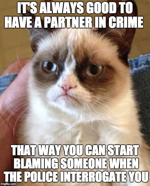Grumpy Cat Meme | IT'S ALWAYS GOOD TO HAVE A PARTNER IN CRIME THAT WAY YOU CAN START BLAMING SOMEONE WHEN THE POLICE INTERROGATE YOU | image tagged in memes,grumpy cat | made w/ Imgflip meme maker