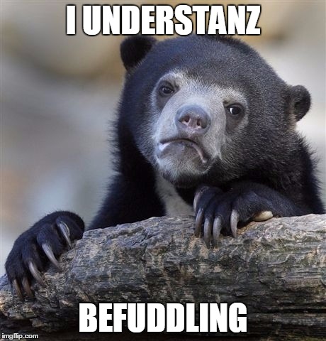 Confession Bear | I UNDERSTANZ BEFUDDLING | image tagged in memes,confession bear | made w/ Imgflip meme maker