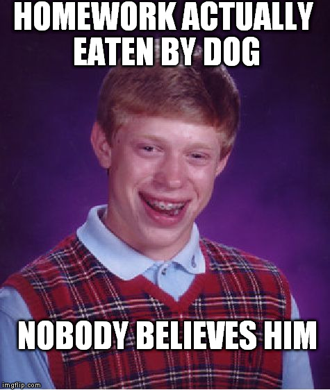 The one time it actually happens,  and nobody believes him! LOL | HOMEWORK ACTUALLY EATEN BY DOG NOBODY BELIEVES HIM | image tagged in memes,bad luck brian | made w/ Imgflip meme maker